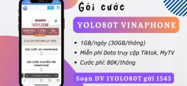 Đăng ký gói YOLO80T Vinaphone chỉ 80K nhận 30GB, Free data Tiktok